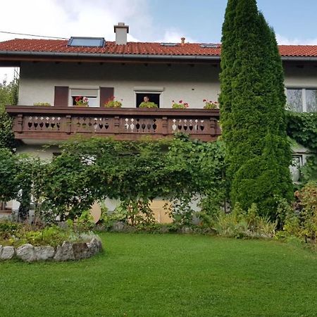Ferienwohnung Bosch Seeg Exterior foto